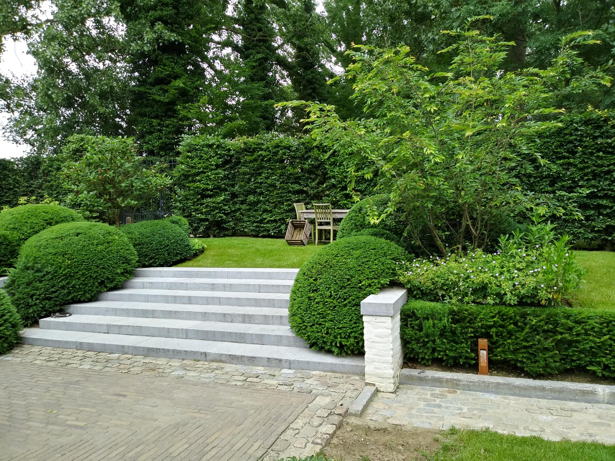 486757136_1217817286635460_7652356396648827699_n